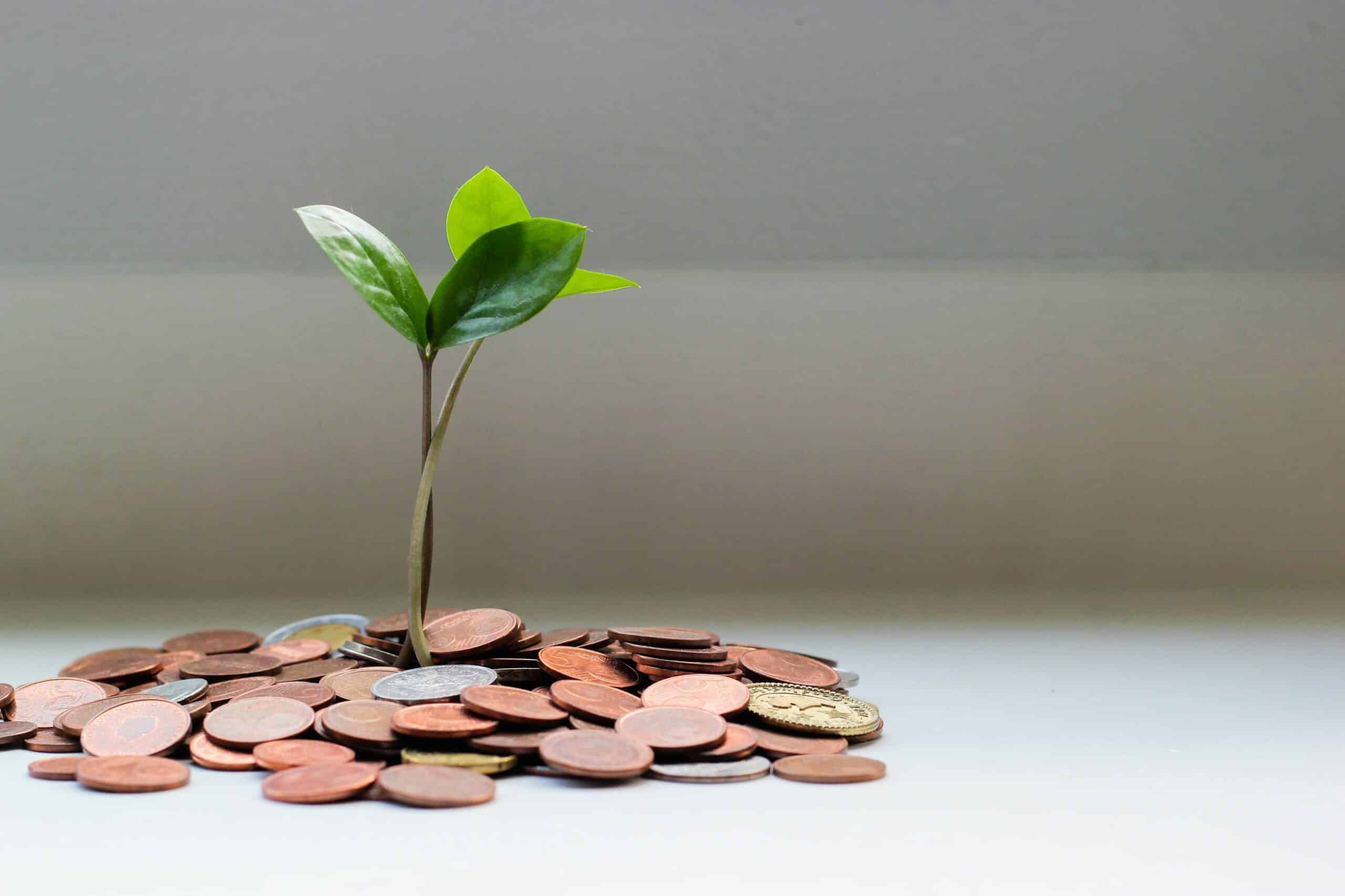 ESG and ROCE in business valuation