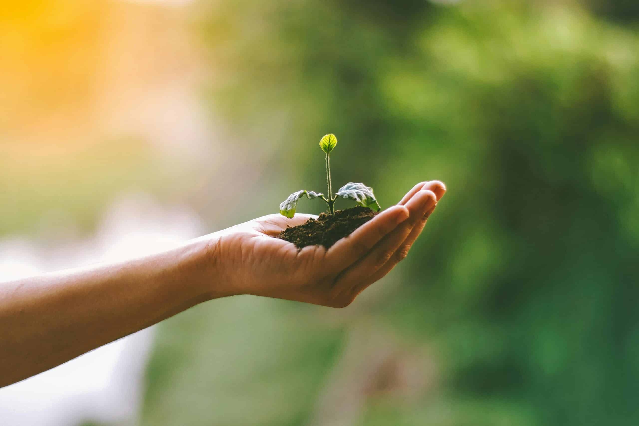 ESG Disclosures in M&A: A Critical Driver of Value and Risk